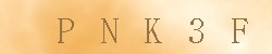 Kontrolní kód