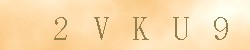 Kontrolní kód